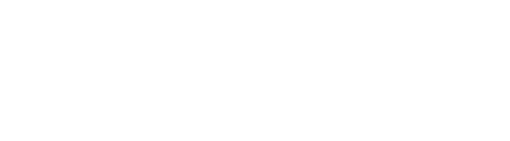 Vektor Group